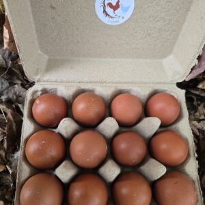 Black Copper Marans Hatching Eggs - 1 Dozen